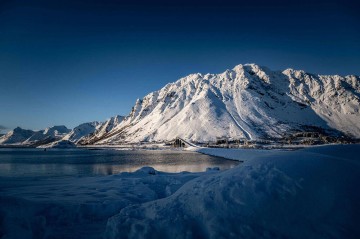 滴滴司机市场份额：限时特惠策略下的竞争优势